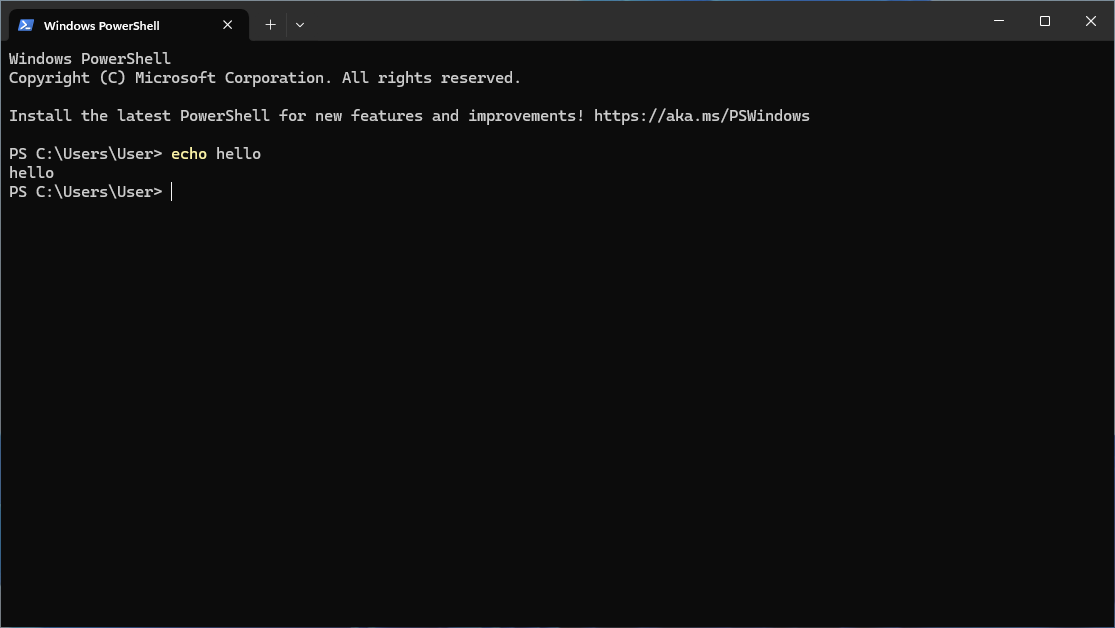 Windows PowerShell terminal window